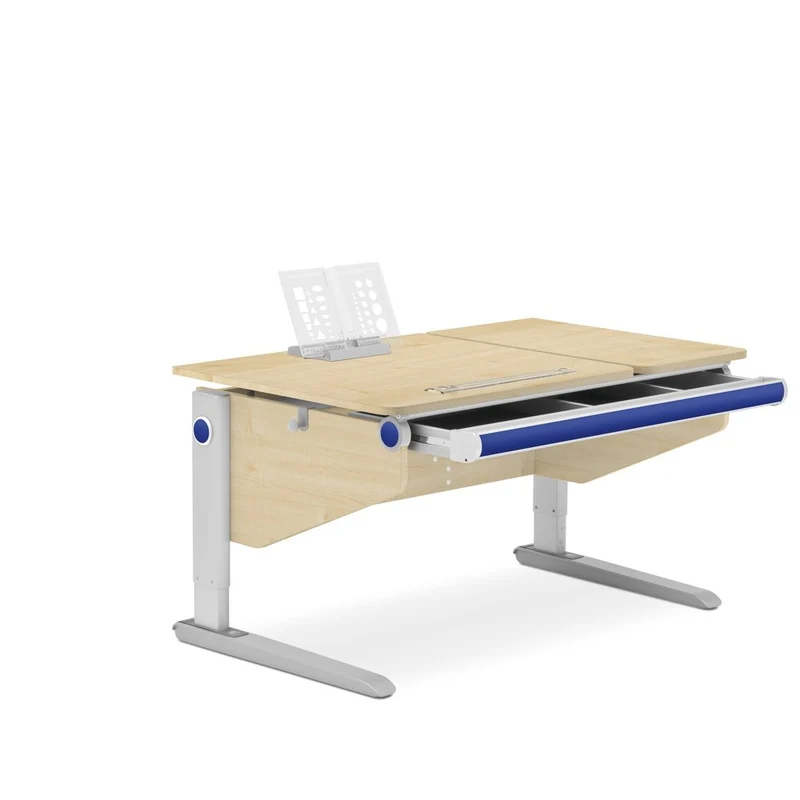 moll Winner Split Desk