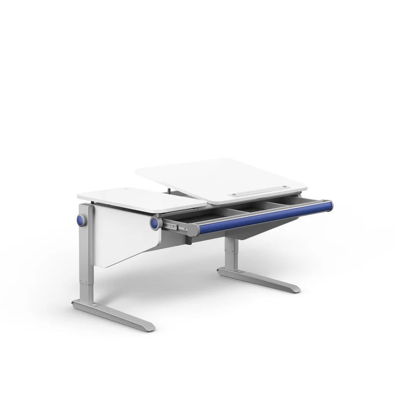 moll Winner Split Desk