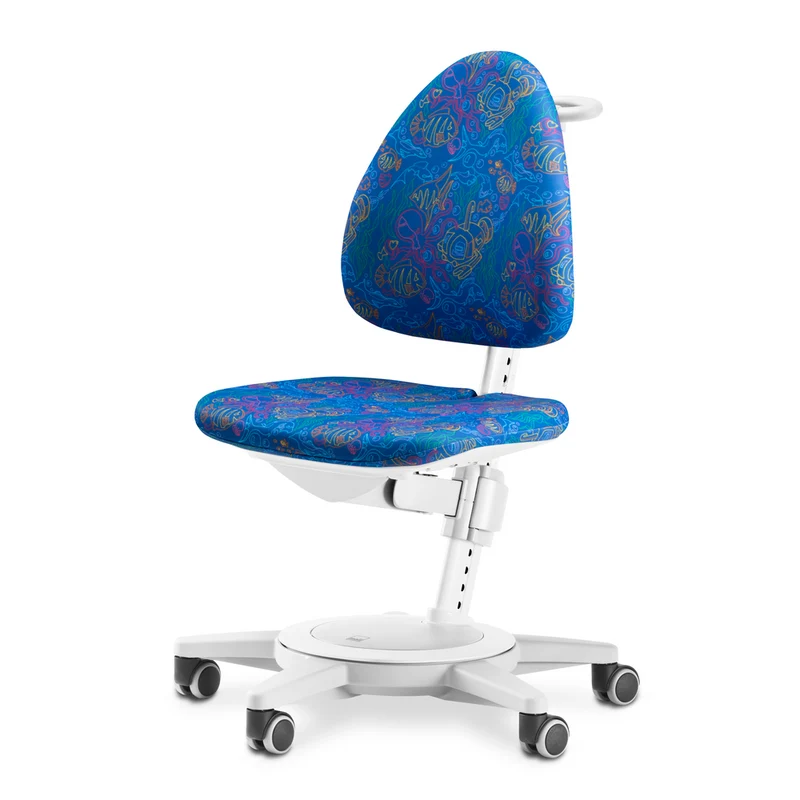 moll Maximo Grey - Classic