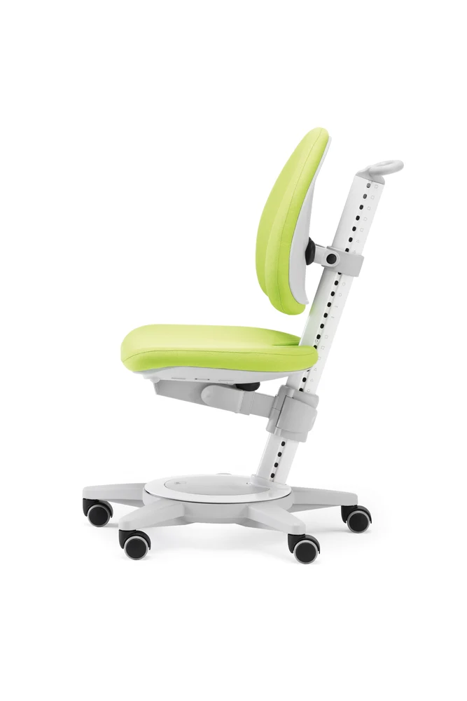 moll Maximo Grey - Classic