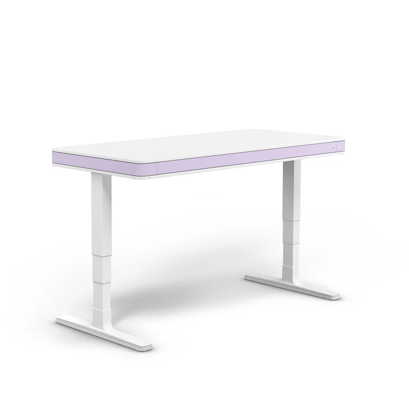 moll T7 XL Electric Standing Desk