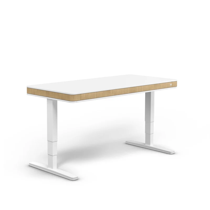 moll T7 XL Electric Standing Desk