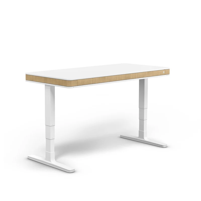 moll T7 XL Electric Standing Desk