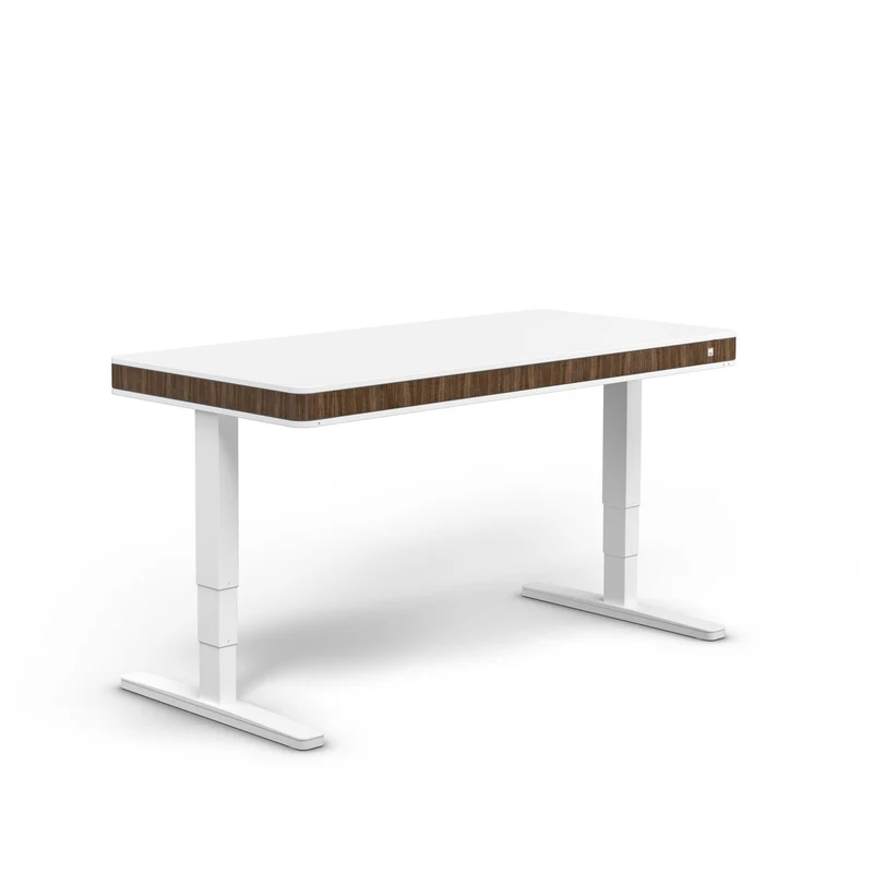 moll T7 XL Electric Standing Desk