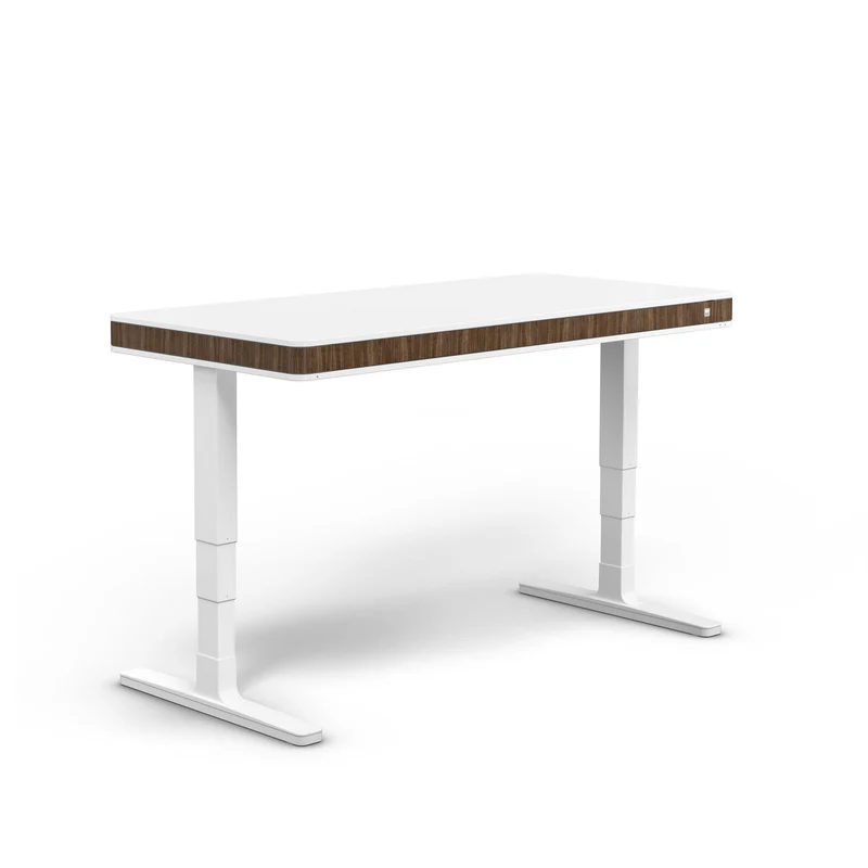 moll T7 XL Electric Standing Desk