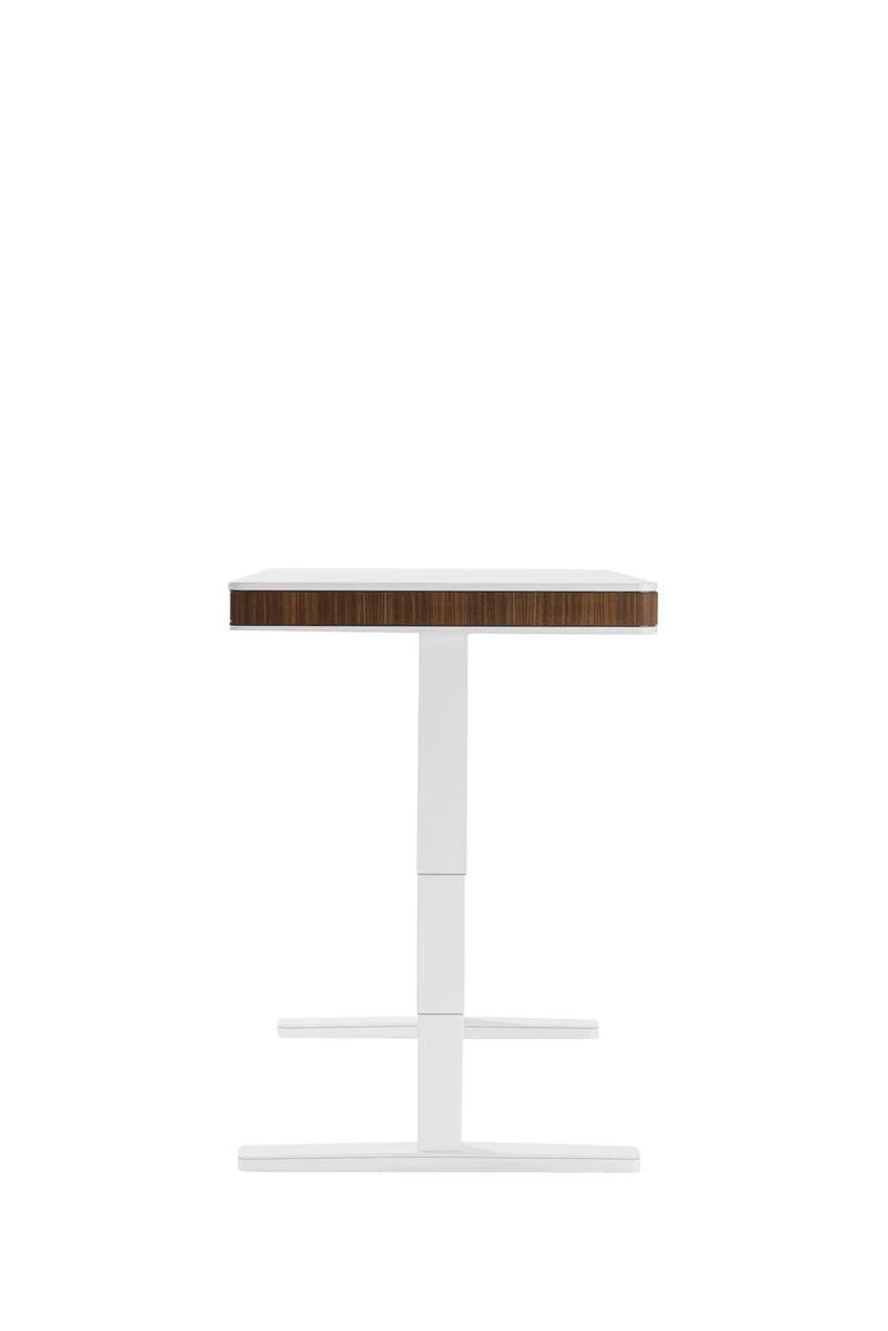 moll T7 XL Electric Standing Desk