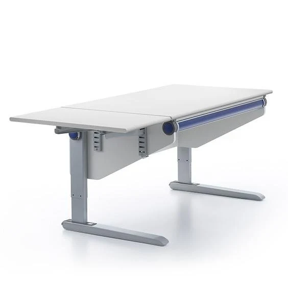 moll Winner Side-Top