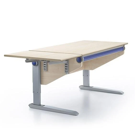 moll Winner Side-Top