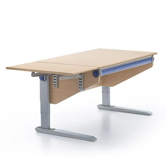 moll Winner Side-Top