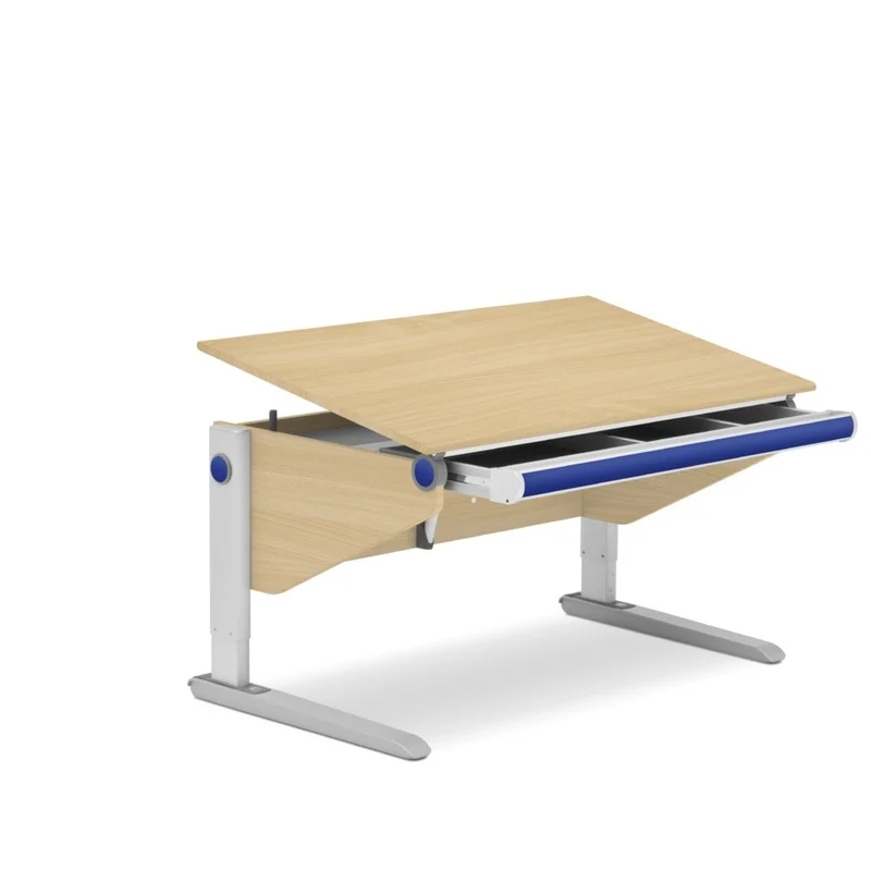 moll Winner Desk