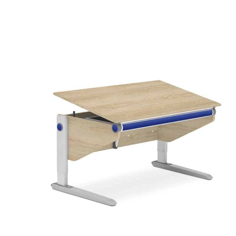 moll Winner Desk