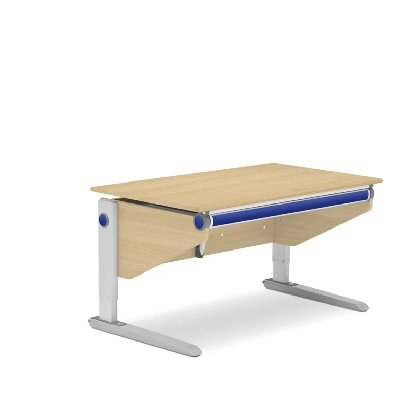 moll Winner Desk