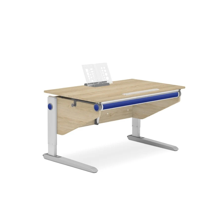 moll Winner Desk
