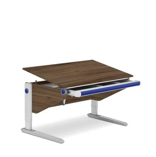 moll Winner Desk