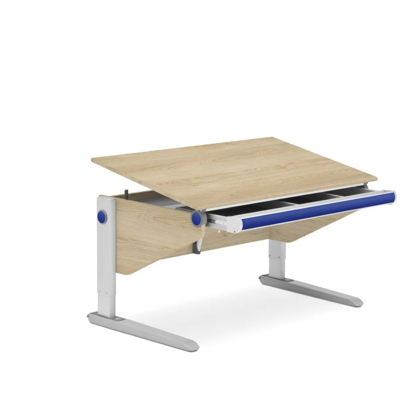 moll Winner Desk