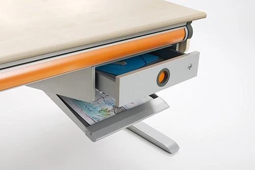 moll Winner Desk