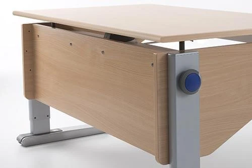 moll Winner Desk