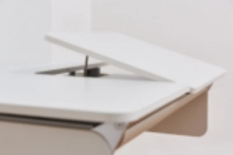 moll Champion Kids Ergonomic Desk